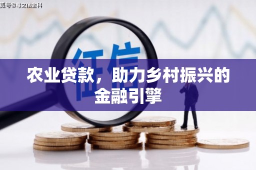 莱城农业贷款，助力乡村振兴的金融引擎