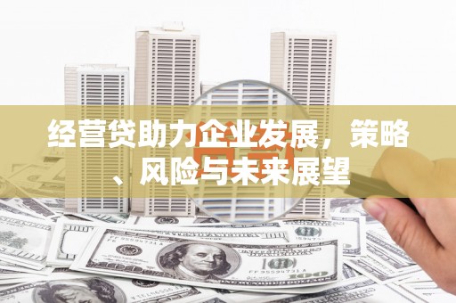 莱城经营贷助力企业发展，策略、风险与未来展望