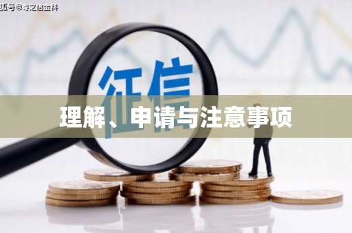 莱城理解、申请与注意事项