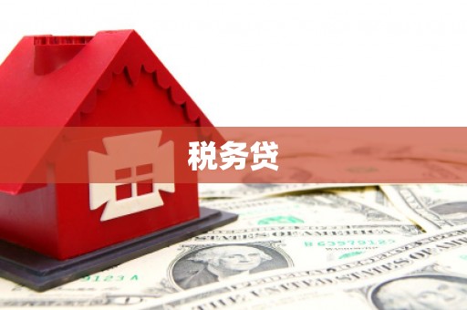 莱城税务贷