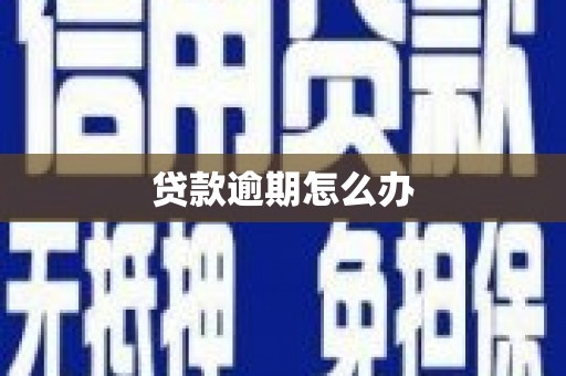 莱城贷款逾期怎么办