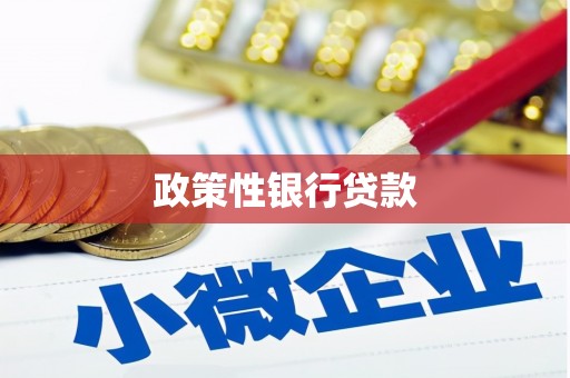 莱城政策性银行贷款