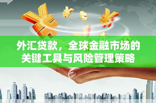 莱城外汇贷款，全球金融市场的关键工具与风险管理策略