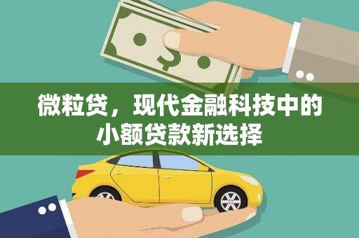 莱城微粒贷，现代金融科技中的小额贷款新选择