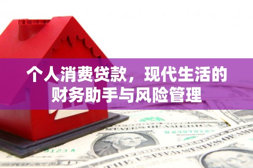 莱城个人消费贷款，现代生活的财务助手与风险管理