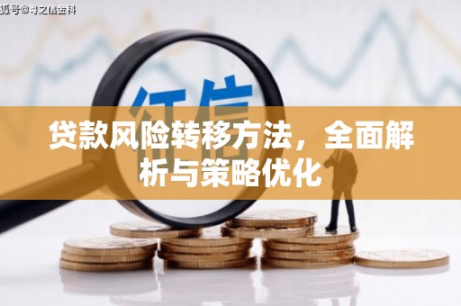 莱城贷款风险转移方法，全面解析与策略优化