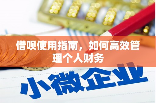 莱城借呗使用指南，如何高效管理个人财务