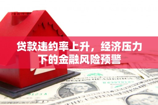莱城贷款违约率上升，经济压力下的金融风险预警