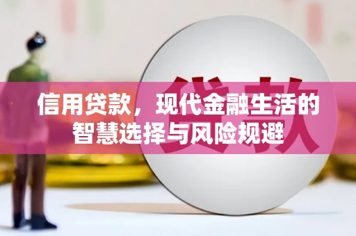 莱城信用贷款，现代金融生活的智慧选择与风险规避