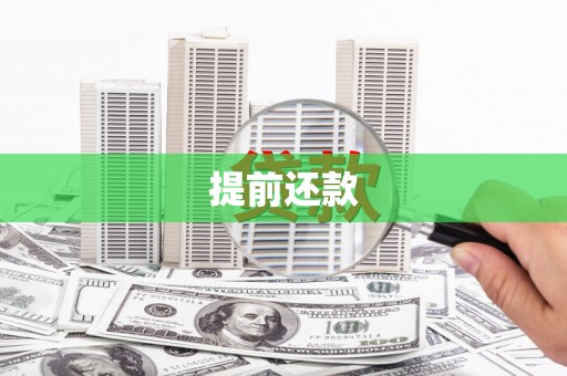 莱城提前还款