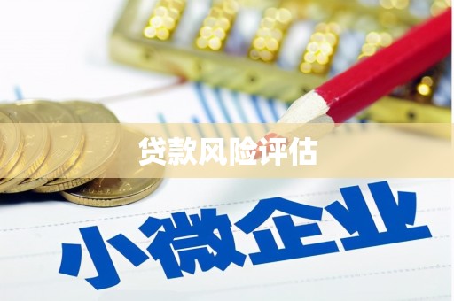 莱城贷款风险评估