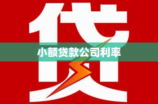 莱城小额贷款公司利率