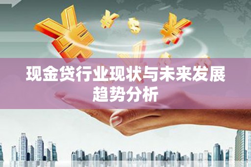 莱城现金贷行业现状与未来发展趋势分析