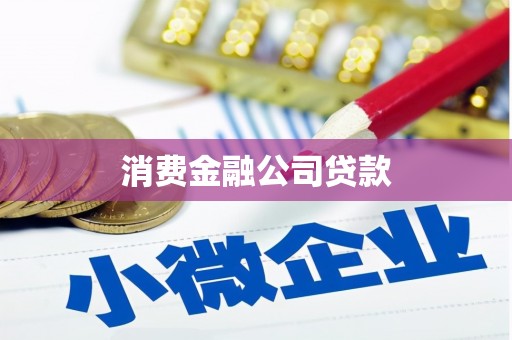 莱城消费金融公司贷款