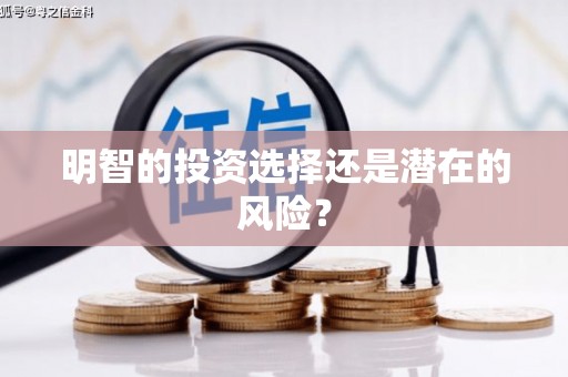 莱城明智的投资选择还是潜在的风险？