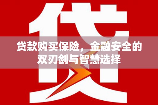莱城贷款购买保险，金融安全的双刃剑与智慧选择