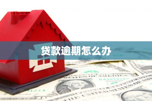 莱城贷款逾期怎么办