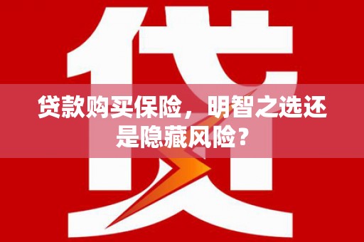 莱城贷款购买保险，明智之选还是隐藏风险？