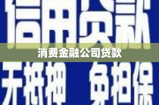 莱城消费金融公司贷款