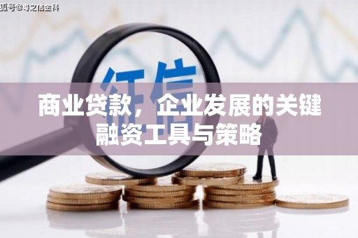 莱城商业贷款，企业发展的关键融资工具与策略