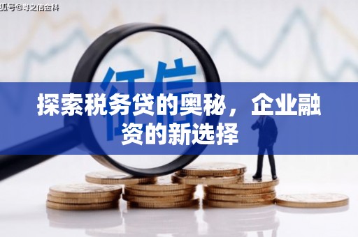 莱城探索税务贷的奥秘，企业融资的新选择