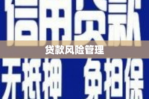 莱城贷款风险管理