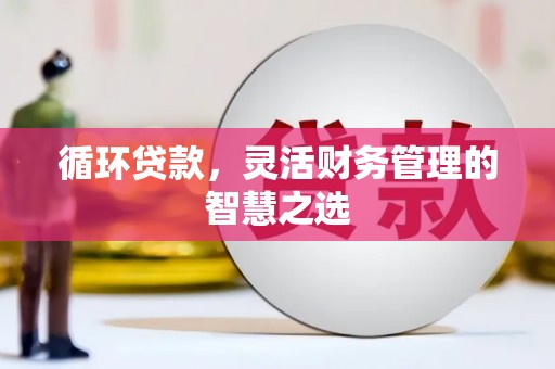 莱城循环贷款，灵活财务管理的智慧之选