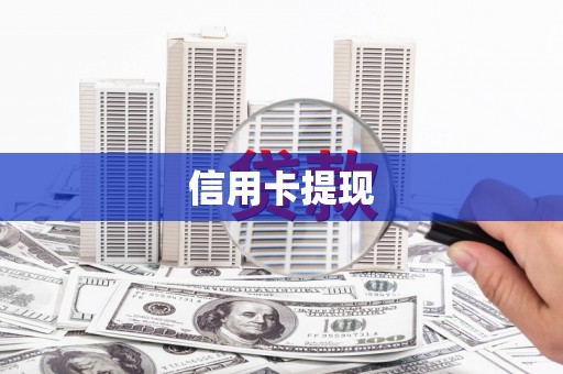 莱城信用卡提现