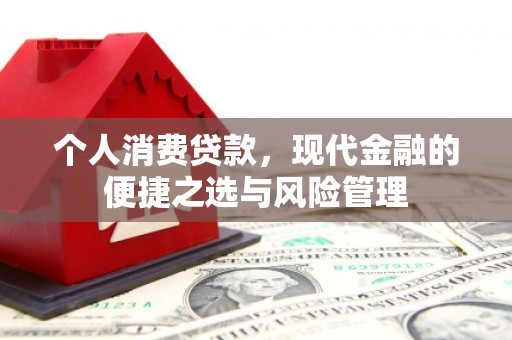 莱城个人消费贷款，现代金融的便捷之选与风险管理