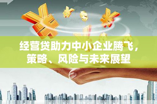 莱城经营贷助力中小企业腾飞，策略、风险与未来展望