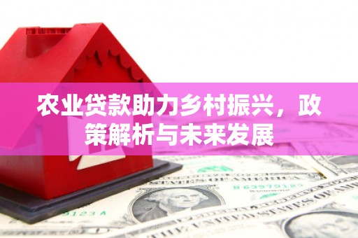 莱城农业贷款助力乡村振兴，政策解析与未来发展