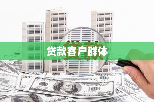 莱城贷款客户群体