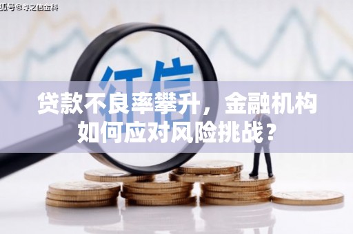 莱城贷款不良率攀升，金融机构如何应对风险挑战？