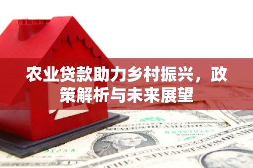 莱城农业贷款助力乡村振兴，政策解析与未来展望