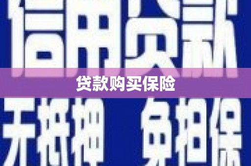 莱城贷款购买保险