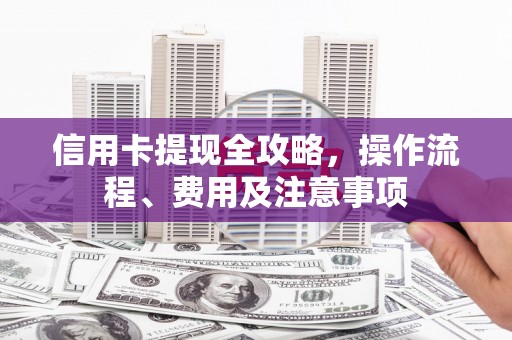 莱城信用卡提现全攻略，操作流程、费用及注意事项