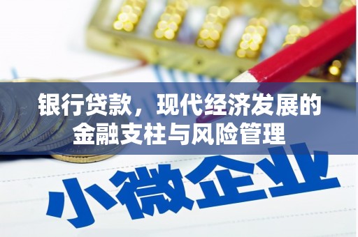 莱城银行贷款，现代经济发展的金融支柱与风险管理