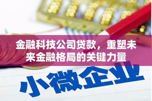 莱城金融科技公司贷款，重塑未来金融格局的关键力量