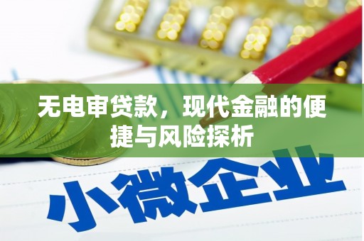 莱城无电审贷款，现代金融的便捷与风险探析
