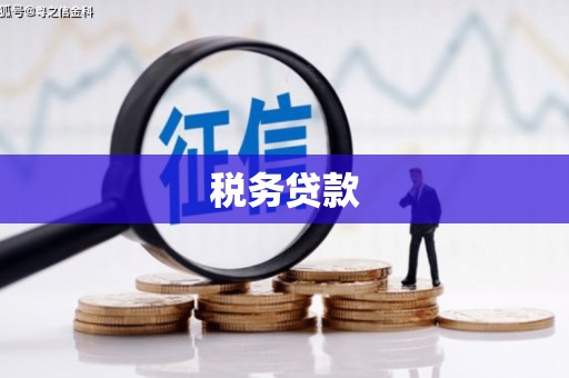 莱城税务贷款