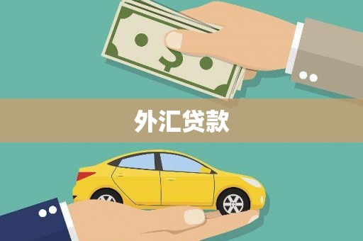 莱城外汇贷款