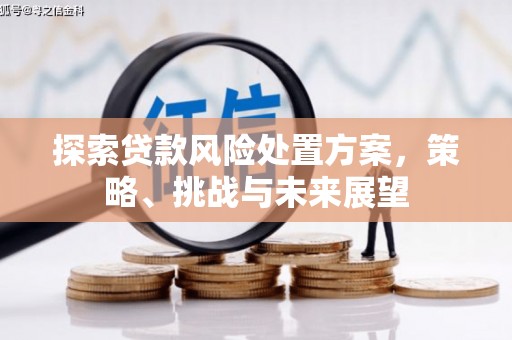 莱城探索贷款风险处置方案，策略、挑战与未来展望