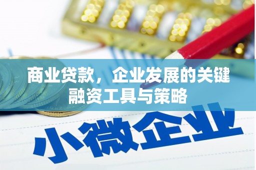 莱城商业贷款，企业发展的关键融资工具与策略