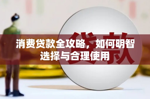 莱城消费贷款全攻略，如何明智选择与合理使用