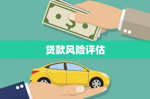 莱城贷款风险评估