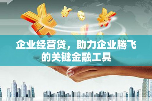 莱城企业经营贷，助力企业腾飞的关键金融工具