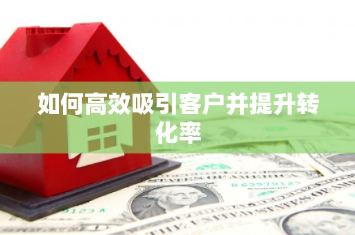 莱城如何高效吸引客户并提升转化率