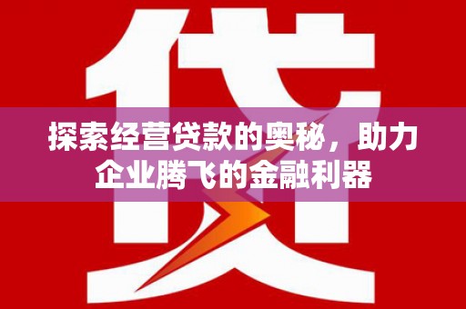 莱城探索经营贷款的奥秘，助力企业腾飞的金融利器