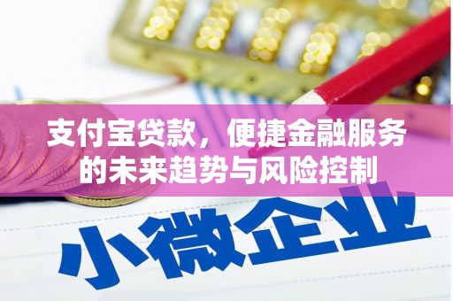 莱城支付宝贷款，便捷金融服务的未来趋势与风险控制