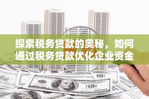 莱城探索税务贷款的奥秘，如何通过税务贷款优化企业资金流